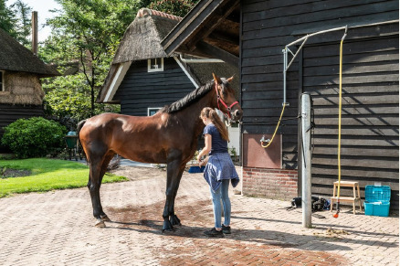 Gastenverblijven op het landgoed van Hoeve WoudStee VMP123